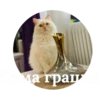 kisssyunya 9