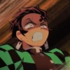 kimetsu 13