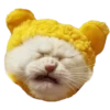 Goddamn cats 9