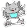 Kid Cat 6