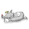 Kid Cat 7