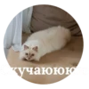 kisssyunya 10
