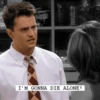 F.R.I.E.N.D.S 9