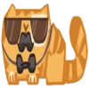 KiT 9