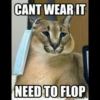 Big Floppa 11