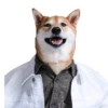 dogsone 9