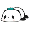 Little panda 13