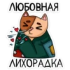 meow_vk 12