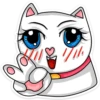 meow_vk 13