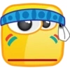 IMIA Emotions 13