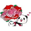 Little panda 16