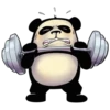Funny Panda 11