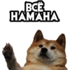 dogsone 13