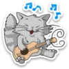Kid Cat 13