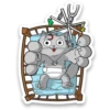 Kid Cat 16