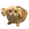 Goddamn cats 15