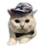 Kittens 9