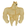 dogsone 15