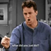 F.R.I.E.N.D.S 16