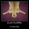 Big Floppa 19
