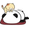 Little panda 18