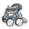 Kid Cat 19