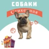 dogsone 18