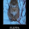 Big Floppa 23
