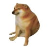 dogsone 19