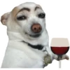 dogsone 21