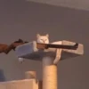Killer Kitty 22