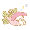 My Melody 16
