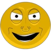 face 15