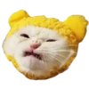 Goddamn cats 17