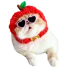 Goddamn cats 18