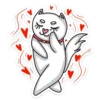 meow_vk 21