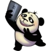 Funny Panda 22
