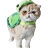 Goddamn cats 19