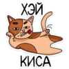 meow_vk 22