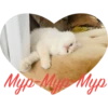 kisssyunya 26
