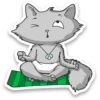 Kid Cat 21