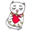 meow_vk 23
