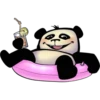 Funny Panda 24