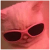 Killer Kitty 25