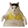 Goddamn cats 22