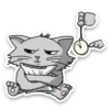 Kid Cat 23