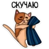 meow_vk 25