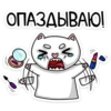 meow_vk 26