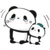 Little panda 25