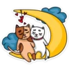 meow_vk 29